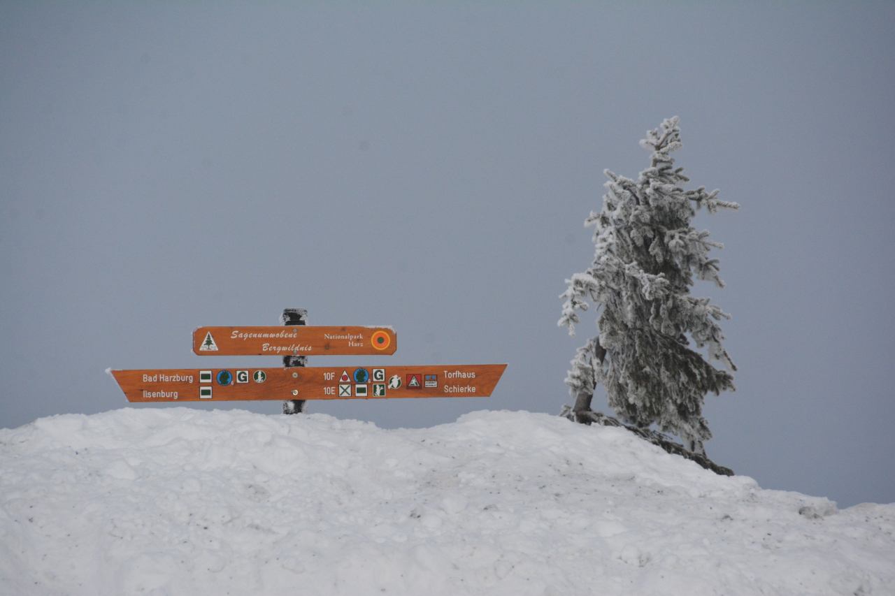 Harzer Schmalspurbahnen und Winterlandschaft beim Brocken